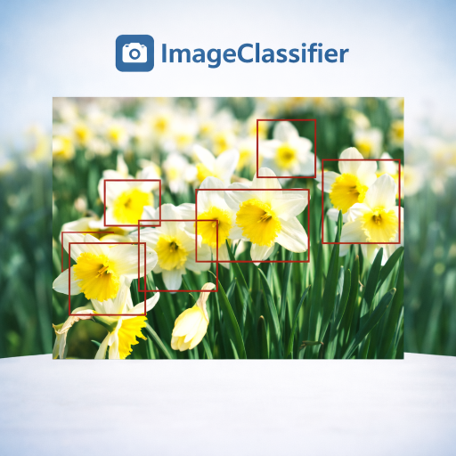 Image Classifier Project