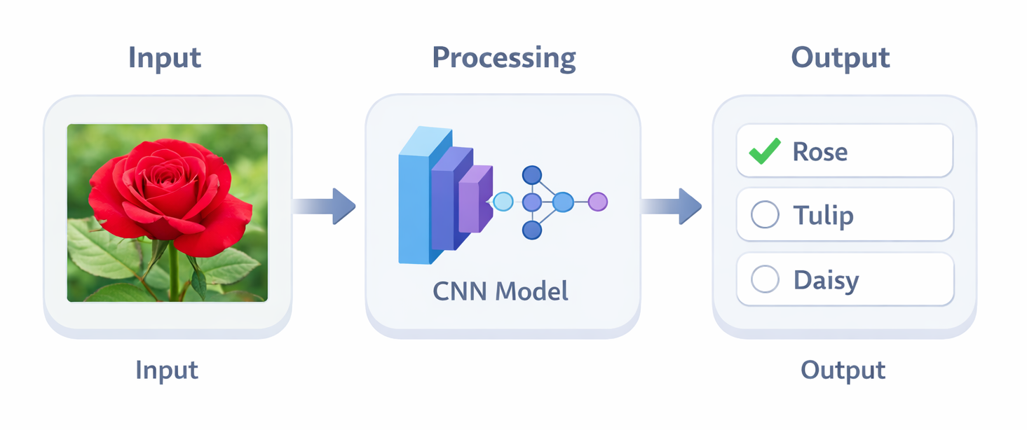Flower Classification Diagram